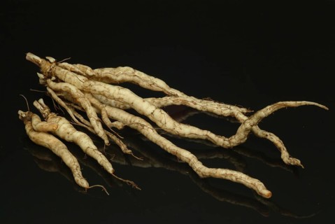 Vegetable, plant, food, agriculture, horticulture, root of the sugar root, Sisum sisarum, Sium,