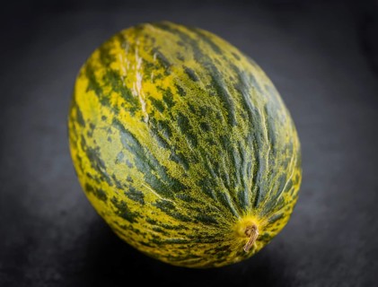 Futuro Melons on a vintage slate slab (close-up shot, selective focus)