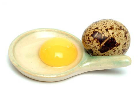 Food, quail eggs, quail egg, yolk and egg white, Coturnix coturnix