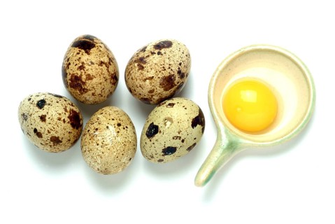 Food, quail eggs, cracked quail egg, Coturnix coturnix