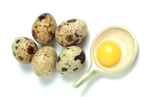 Food, quail eggs, cracked quail egg, Coturnix coturnix