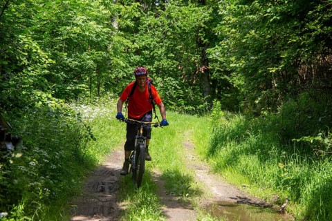 Mountain biking in the Odenwald, here on the Birkenau circuit in the Bergstrasse-Odenwald