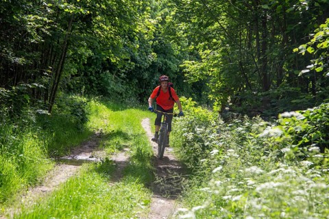 Mountain biking in the Odenwald, here on the Birkenau circuit in the Bergstrasse-Odenwald