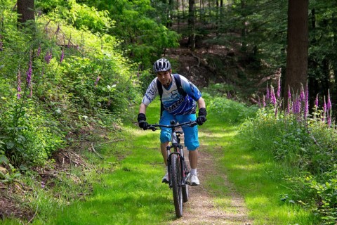 Mountain biking in the Odenwald, here on the Birkenau circuit in the Bergstrasse-Odenwald