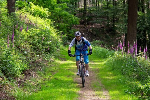 Mountain biking in the Odenwald, here on the Birkenau circuit in the Bergstrasse-Odenwald