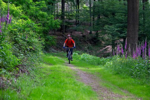 Mountain biking in the Odenwald, here on the Birkenau circuit in the Bergstrasse-Odenwald