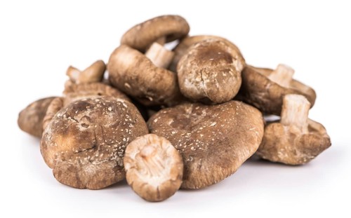 Portion of Shiitake mushrooms as detailed close-up shot isolated on white background