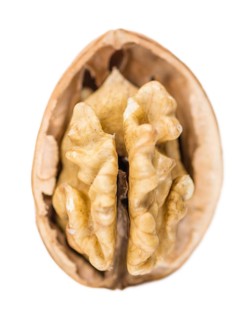 Portion of Walnut kernels (as close-up shot) isolated on white background