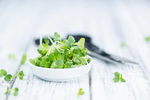 Cutted Cress on a vintage background as detailed close-up shot (selective focus)