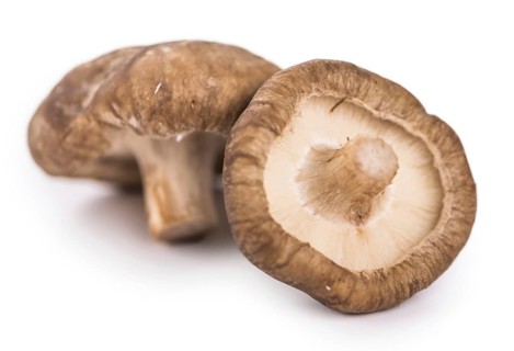 Portion of Shiitake mushrooms as detailed close-up shot isolated on white background