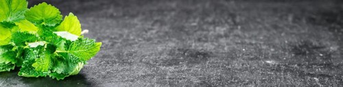 Balm on a vintage background as detailed close-up shot (selective focus)