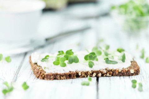 Cream Cheese on a slice of bread topped with fresh Cress (selective focus, close-up shot)