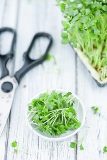 Cress on an old wooden table as detailed close-up shot (selective focus)