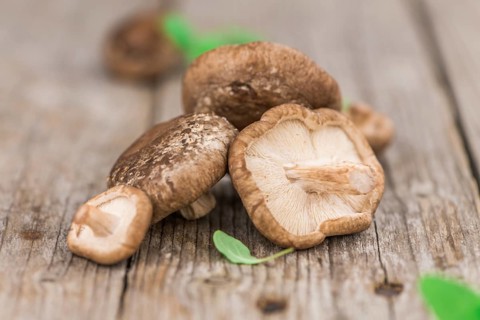 Shiitake mushrooms on a vintage background as detailed close-up shot, selective focus