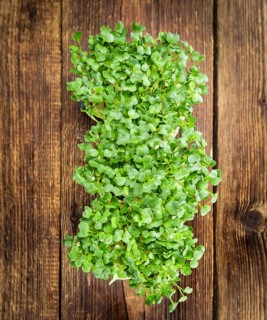 Fresh Cress as high detailed close-up shot on a vintage wooden table (selective focus)