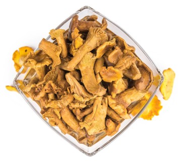 Preserved chanterelles isolated on white background, selective focus, close-up shot