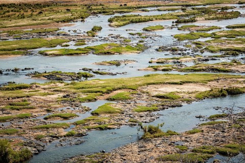 Olifants River (Limpopo) at Kruger National Park, South Africa, Africa