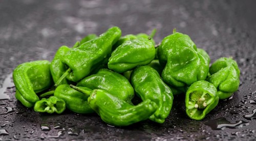 Portion of Raw Pimientos on a rustic slate slab, selective focus, close-up shot