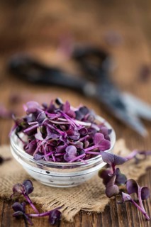 Cutted Cress on a vintage background as detailed close-up shot (selective focus)