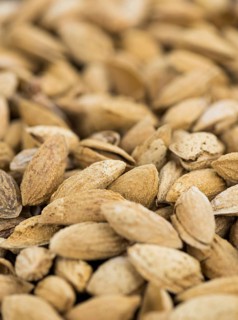 Roasted Almonds (in shell) as full size background image (selective focus)