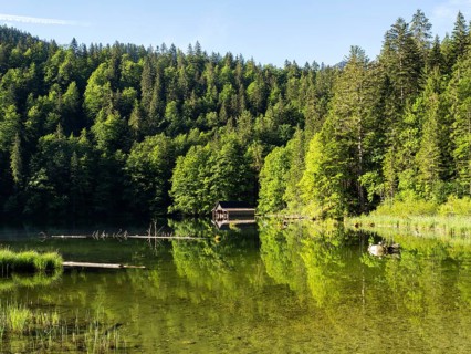 Morning atmosphere, reflection, boathouse at the Toplitzsee, Salzkammergut, Styria, Austria, Europe