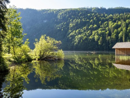 Morning atmosphere, reflection, Toplitzsee, Salzkammergut, Styria, Austria, Europe