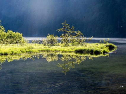 Morning atmosphere, reflection, Toplitzsee, Salzkammergut, Styria, Austria, Europe