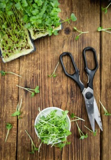 Fresh cutted Cress as high detailed close-up shot on a vintage wooden table (selective focus)