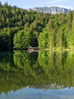 Morning atmosphere, reflection, boathouse at the Toplitzsee, Salzkammergut, Styria, Austria, Europe