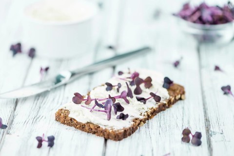Slice of wholemeal bread with fresh cutted cress and cream cheese on an old wooden table (selective