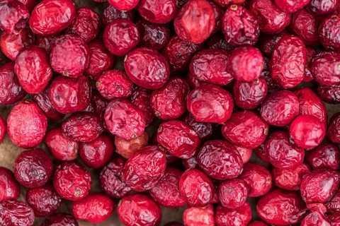 Dried Cranberries (selective focus, detailed close-up shot)
