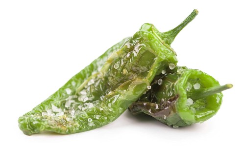 Portion of Pimientos de Padron as detailed close-up shot isolated on white background