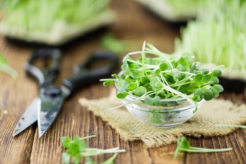 Fresh cutted Cress as high detailed close-up shot on a vintage wooden table (selective focus)