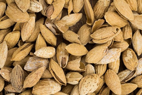 Roasted Almonds (in shell) as full size background image (selective focus)