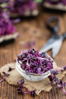 Fresh cutted Cress as high detailed close-up shot on a vintage wooden table (selective focus)