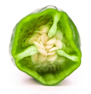 Raw Pimientos isolated on white background, selective focus, close-up shot