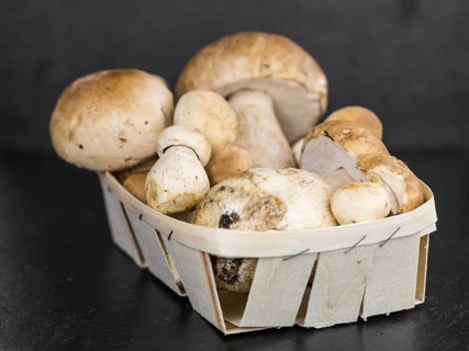 Porcinis on a vintage background (close-up shot, selective focus)