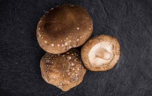 Shiitake mushrooms on a vintage background as detailed close-up shot, selective focus