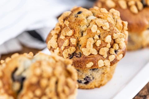 Some fresh Blueberry Muffins (selective focus, close-up shot)