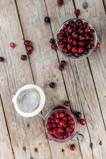 Portion of Preserved Cranberries as detailed close-up shot, selective focus
