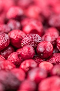 Some Dried Cranberries (close-up shot, selective focus)