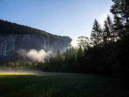 Morning atmosphere at sunrise, early morning fog over a meadow, behind the Gössler Wand, panoramic