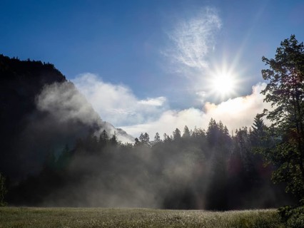Morning atmosphere at sunrise, early morning fog over a meadow, Gössl, Salzkammergut, Styria,
