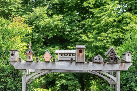 Detroit, Michigan, Birdhouses at the Detroit Zoo