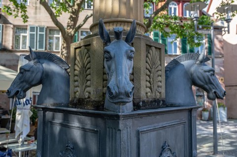 Gaulsbrunnen, erected in 1823 on the Königsplatz, Schwabach, Middle Franconia, Bavaria, Germany,