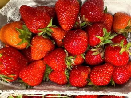 Fresh strawberries (Fragaria) fresh fruit for healthy eating on display from fruit merchants