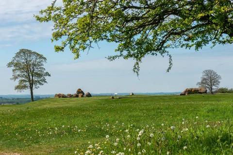 Dybbol Banke, Düppel, Memorial to the German-Danish War of 1864, Remains of the fortress,