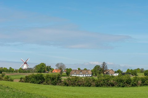 Dybbol Molle, Düppel Mill, German-Danish War Memorial 1864, thatched house, landscape, hilly