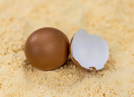 Powdered Eggs (fresh) as detailed close-up shot, selective focus)