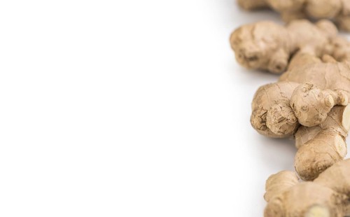 Ginger Slices isolated on white background (selective focus, close-up shot)